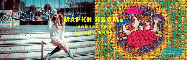 трава Осинники