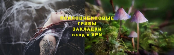 PSILOCYBIN Абинск