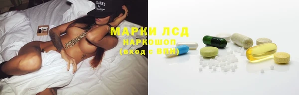 трава Осинники
