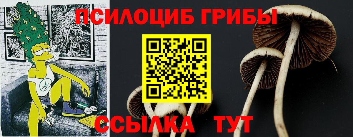 Галлюциногенные грибы мухоморы Тихорецк