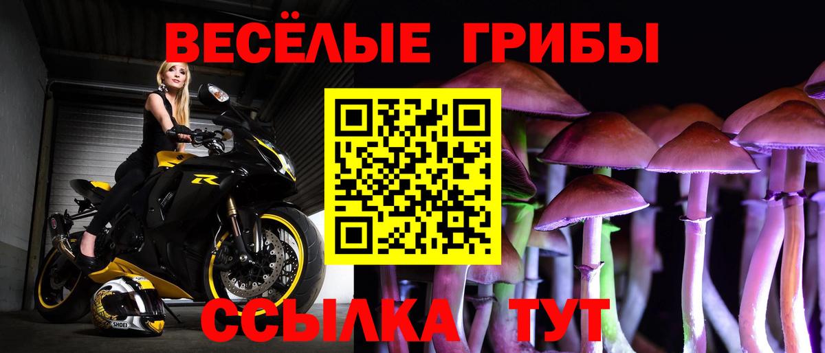 Галлюциногенные грибы прущие грибы  Галлюциногенные грибы MAGIC MUSHROOMS  Тихорецк  Вход с VPN 